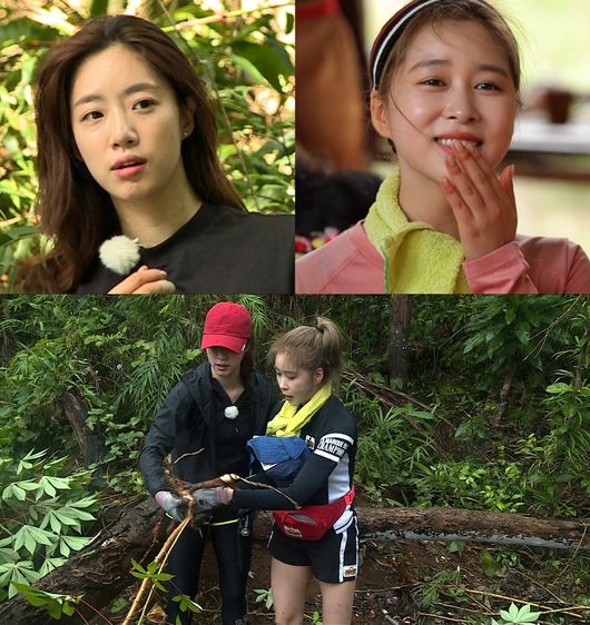 '정글' 제공