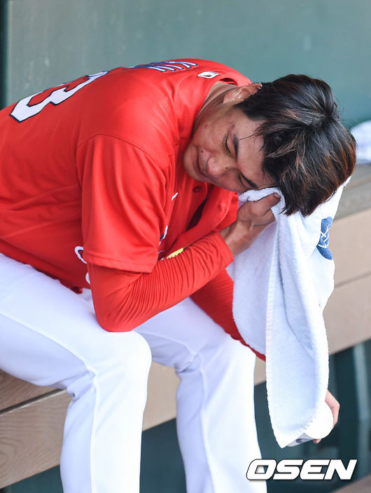  세인트루이스 몰리나. /soul1014@osen.co.kr