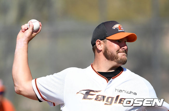 서폴드가 역투하고 있다. /jpnews@osen.co.kr