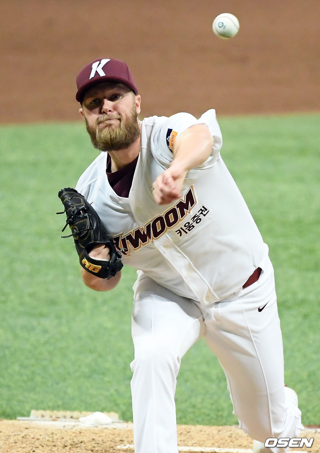 5회초 키움 요키시가 역투하고 있다. /cej@osen.co.kr