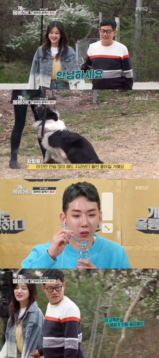 '개는 훌륭하다' 방송화면