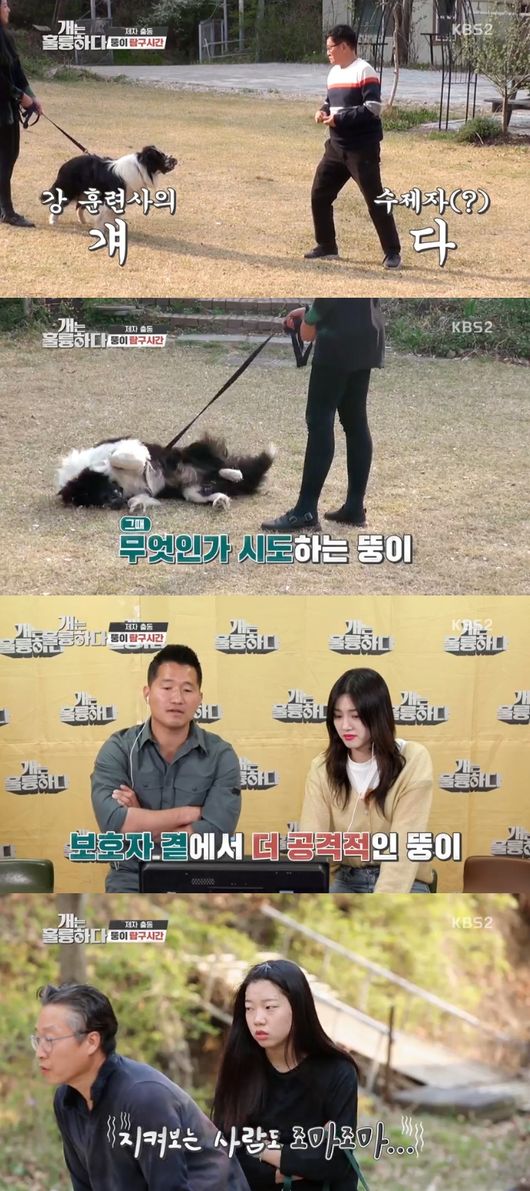 '개는 훌륭하다' 방송화면