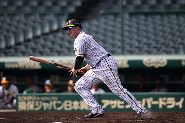 [사진] 한신 타이거즈 홈페이지