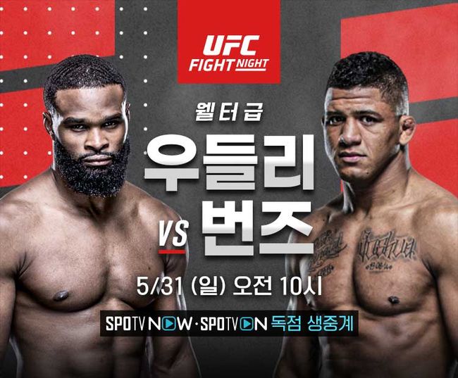 [사진] UFC 제공.