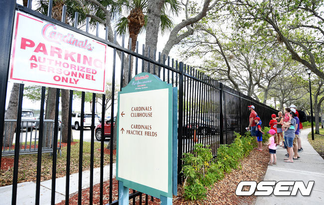 사진은 15일 스프링 트레이닝 시범경기를 멈춘 메이저리그 세인트루이스 카디널스 훈련장 로저 딘 스타디움에서 팬들이 선수들의 훈련을 멀리서 지켜보는 모습. /dreamer@osen.co.kr