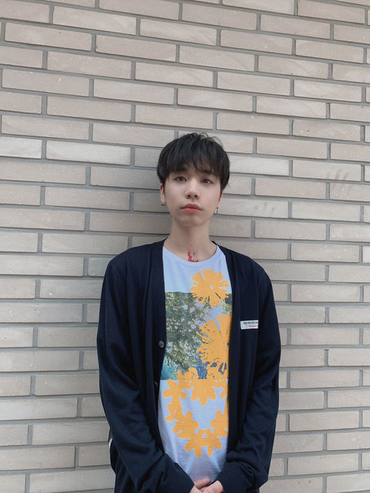다운