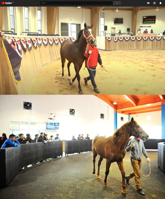 [사진]한국마사회 제공