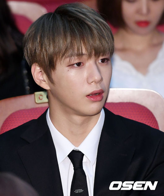 그룹 워너원 강다니엘이 참석해 자리를 빛내고 있다. /pjmpp@osen.co.kr