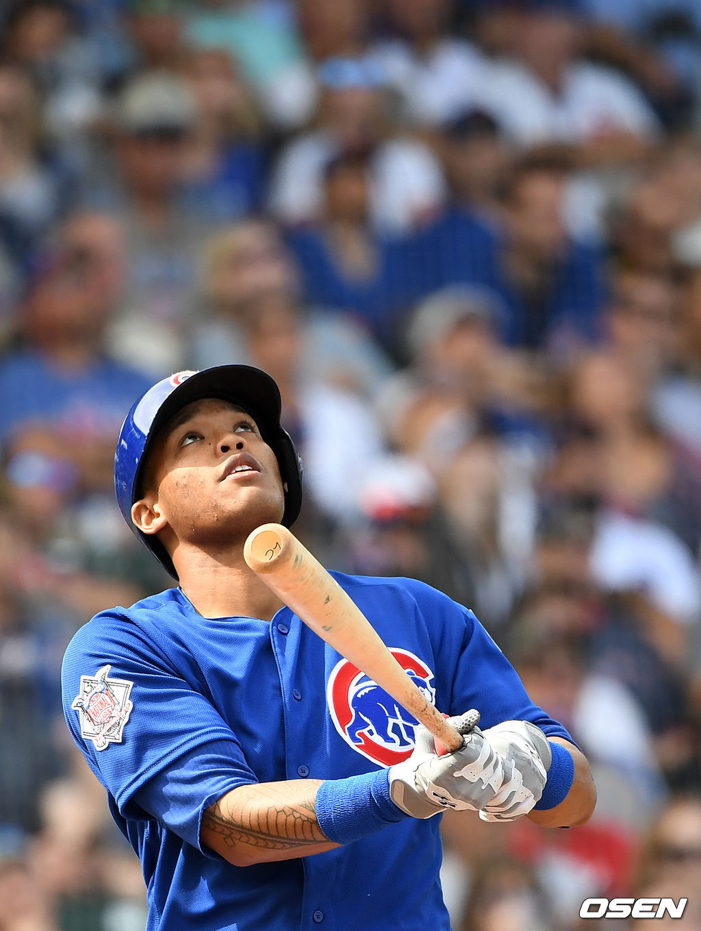 시카고 컵스 애디슨 러셀이 27일(한국시간) 미국 애리조나주 메사에 위치한 홈구장 슬로언 파크에서 개최된 ‘2019시즌 메이저리그 시범경기’ 애리조나 다이아몬드백스전에서 타구를 바라보고 있다. /jpnews@osen.co.kr