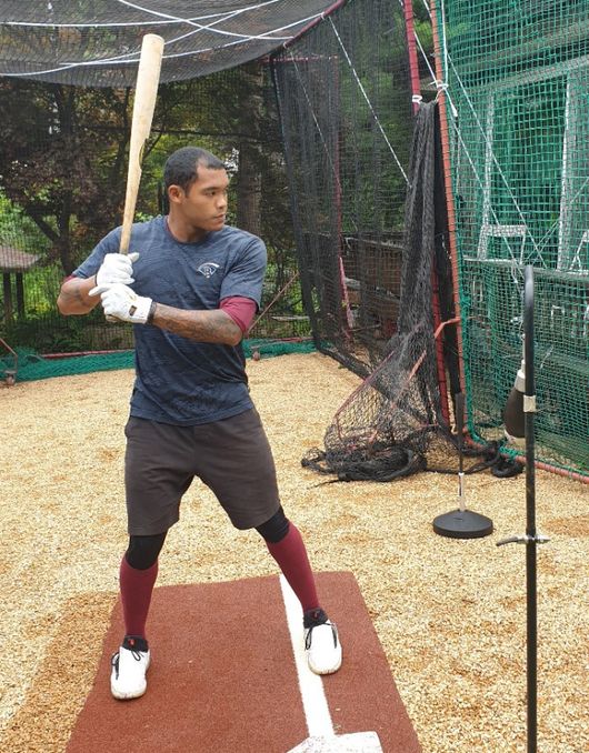 에디슨 러셀이 자가 격리 중인 숙소에서 배팅훈련을 하고 있다./키움 히어로즈 제공