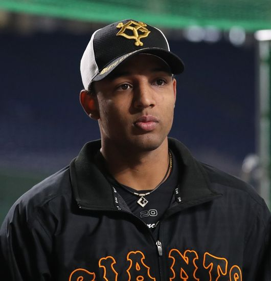 [사진] 요미우리 자이언츠 홈페이지