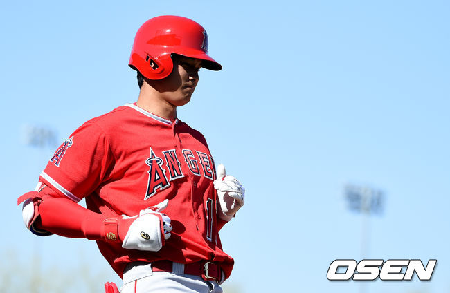 오타니 쇼헤이 /jpnews@osen.co.kr