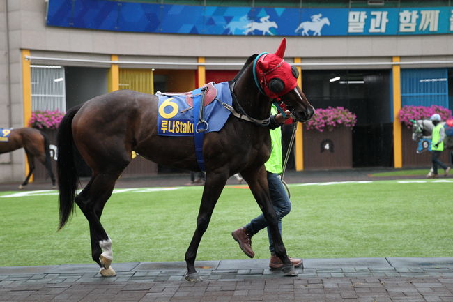 [사진]투투그레이트 루나스테이크스 /한국마사회 제공
