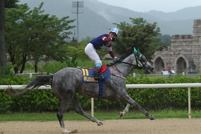 [사진]화이트퀸 루나스테이크스 /한국마사회 제공