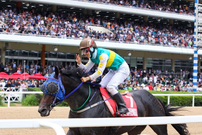 [사진]파워블레이드 /한국마사회 제공