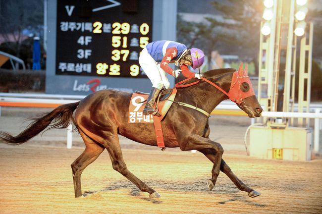 [사진]경부대로 /한국마사회 제공