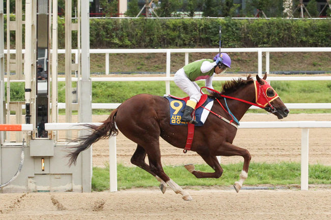 [사진]심장의고동 /한국마사회 제공