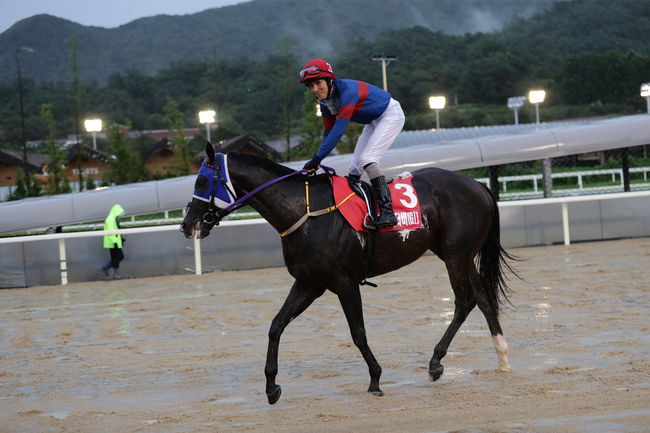 [사진]한국마사회 제공