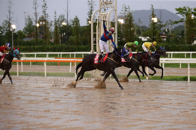 [사진]한국마사회 제공