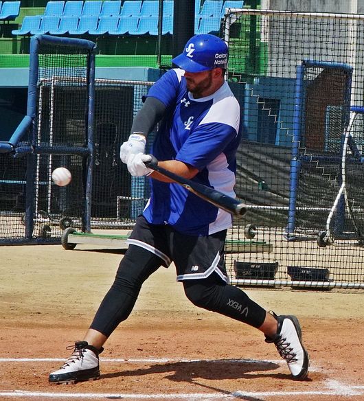 [사진] 삼성 라이온즈 제공 