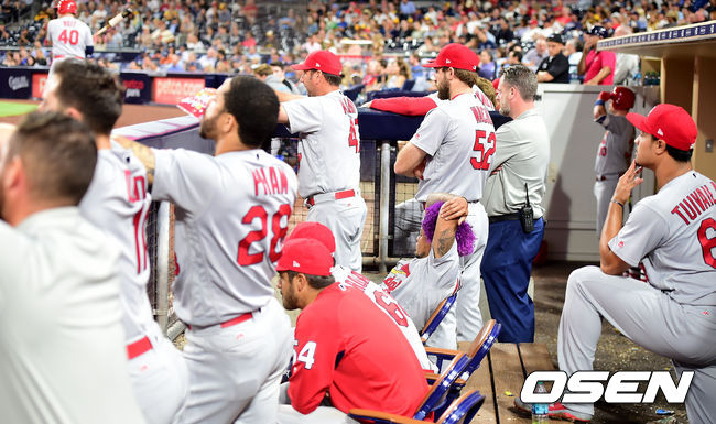 세인트루이스 선수단이 경기를 지켜보고 있다. / youngrae@osen.co.kr