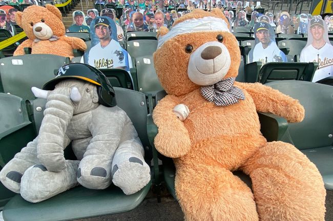 [사진] 오클랜드 공식 SNS 캡처