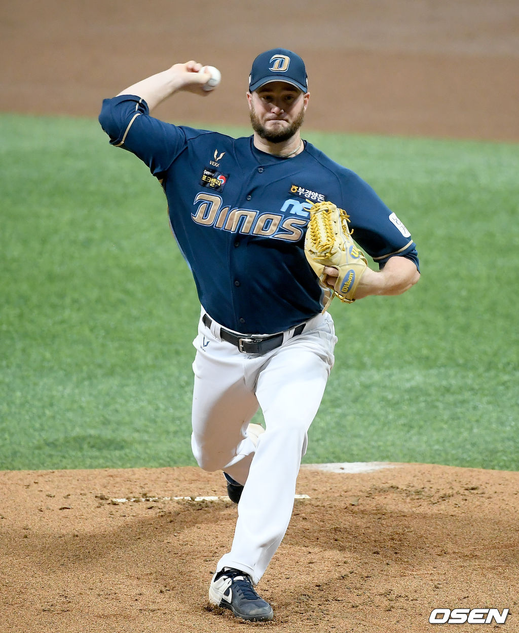 1일 서울 고척스카이돔에서 ‘2020 신한은행 SOL KBO리그’ 키움 히어로즈와 NC 다이노스의 경기가 열렸다.1회말 NC 선발 라이트가 마운드에 올라 힘차게 공을 뿌리고 있다./ks0919@osen.co.kr