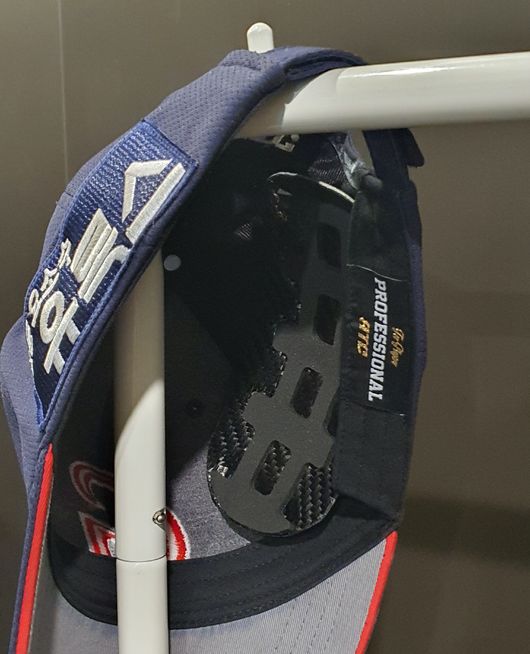 [사진] 롯데 자이언츠 제공