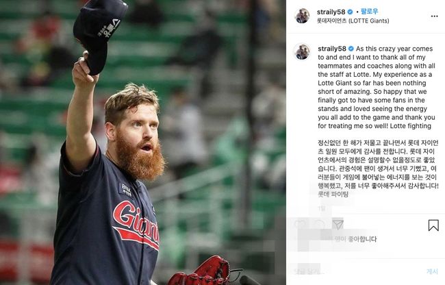 [사진] 스트레일리 개인 SNS 캡처