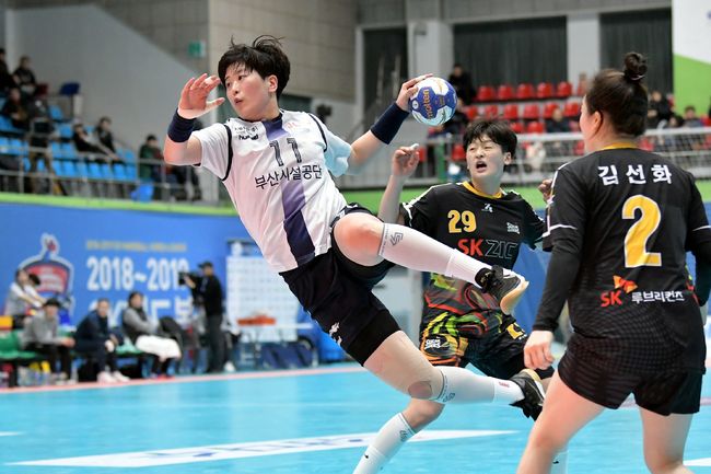[사진]대한핸드볼협회 제공