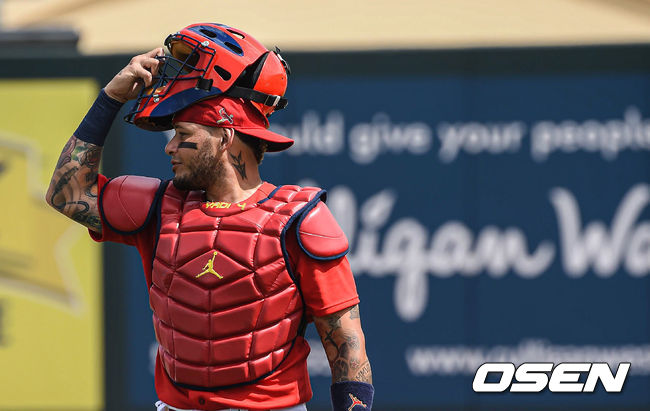  세인트루이스 몰리나. /soul1014@osen.co.kr