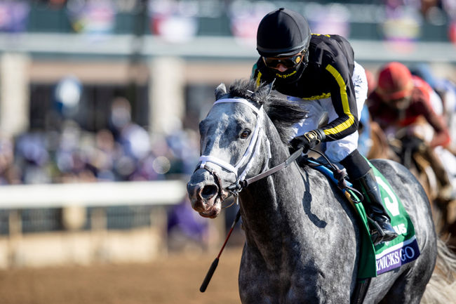 [사진]한국마사회 제공