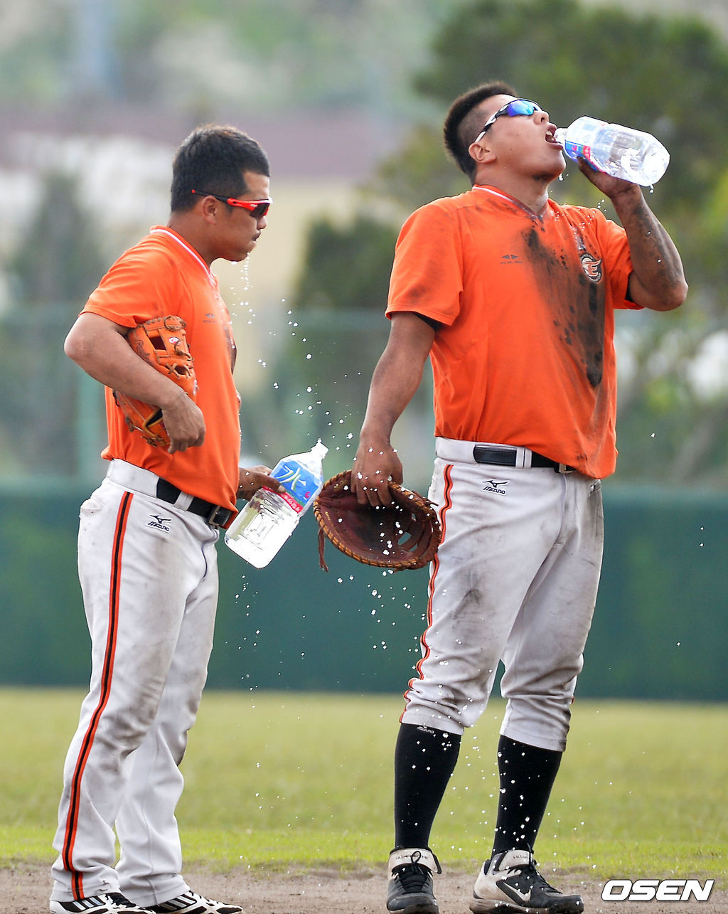 매머드급 마무리캠프를 치르고 있는 한화가 암흑기 탈출의 몸부림을 치고 있다. /rumi@osen.co.kr