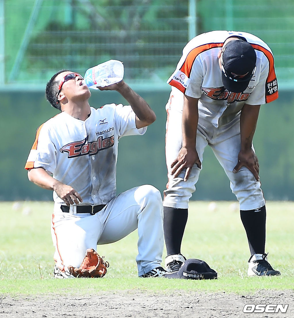 매머드급 마무리캠프를 치르고 있는 한화가 암흑기 탈출의 몸부림을 치고 있다. /rumi@osen.co.kr