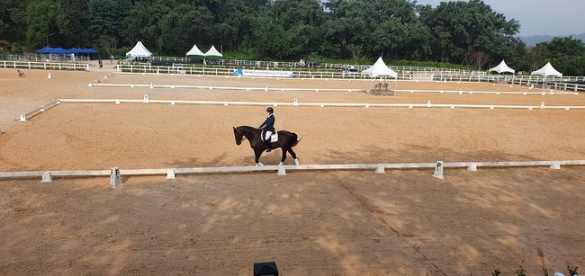 [사진]한국마사회 제공