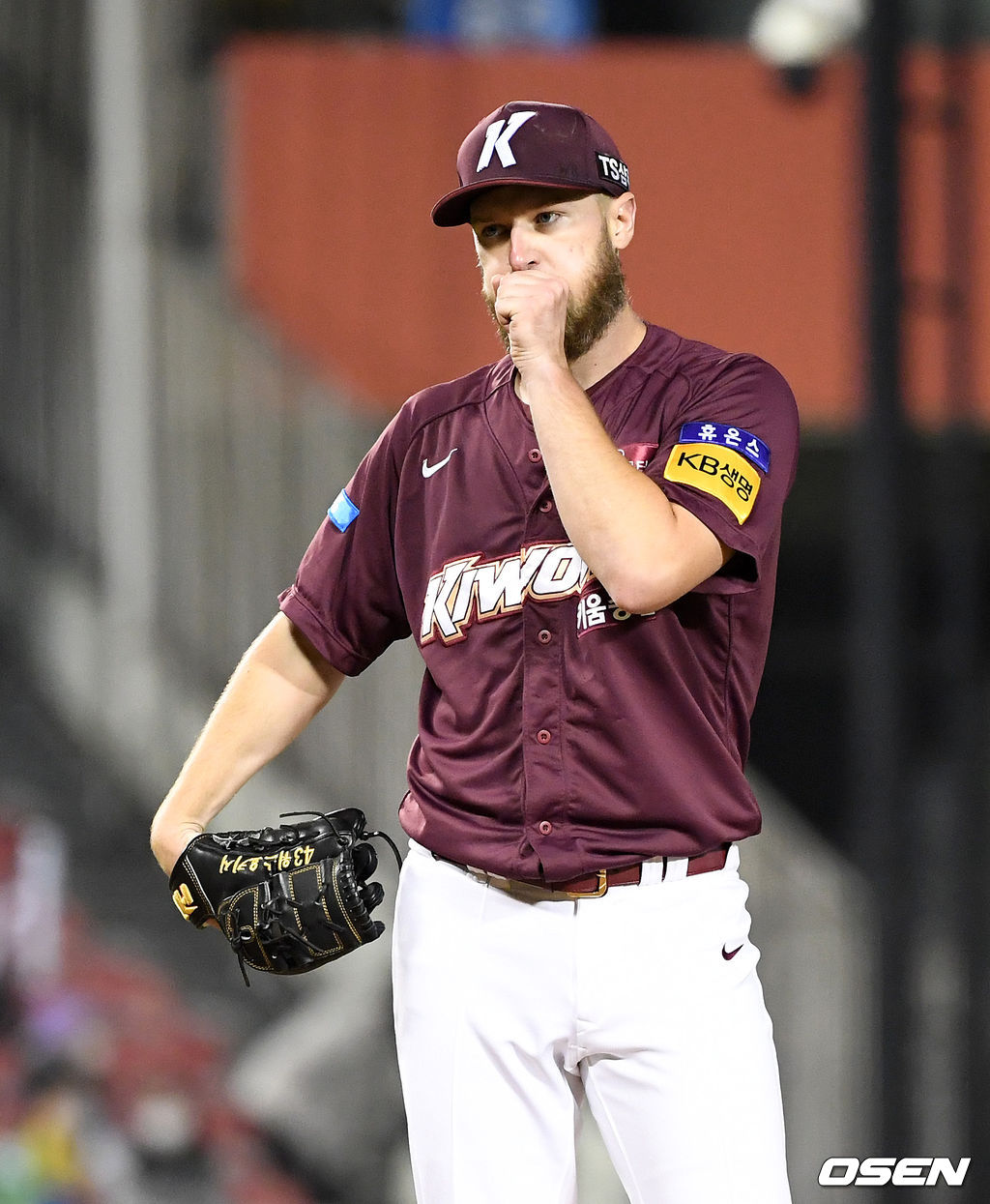 키움 요키시. /jpnews@osen.co.kr