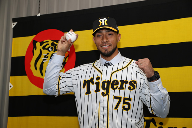 [사진] 한신 타이거즈 홈페이지