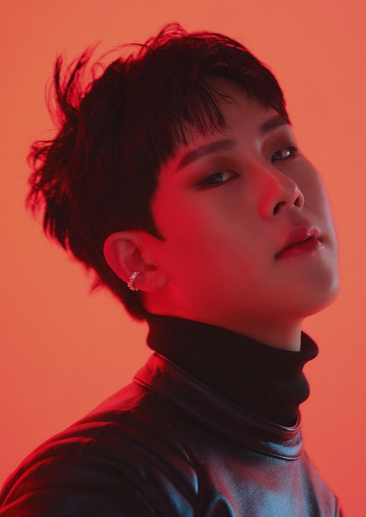주헌