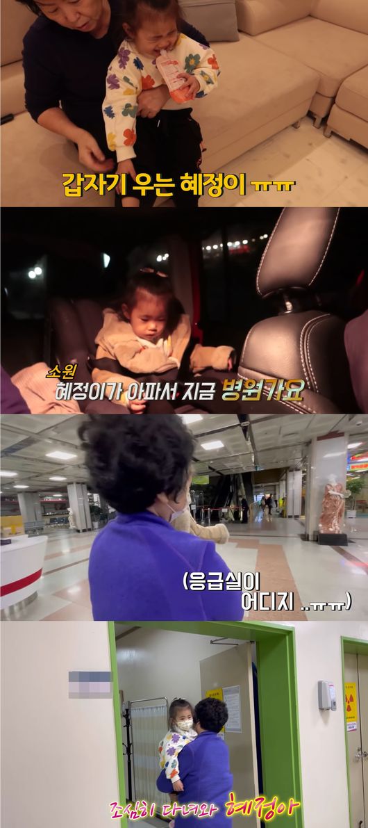 진화 유튜브 영상 캡쳐