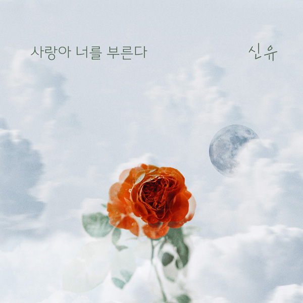 더하기미디어 제공