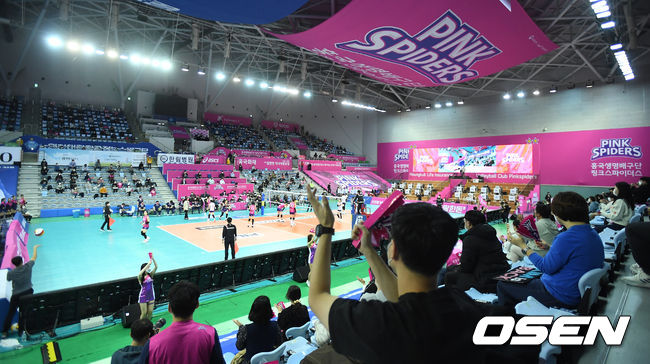 코로나19 사태로 무관중으로 전환된 지 무려 8개월 만에 팬들이 경기장을 찾아 응원을 하고 있다. /youngrae@osen.co.kr 