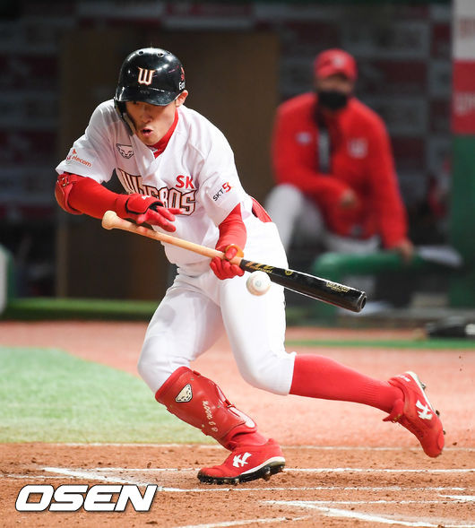 SK 외야수 최지훈.