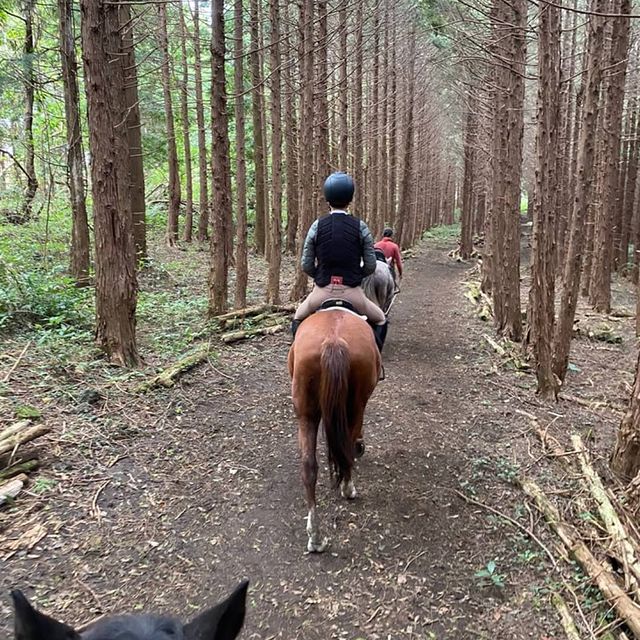 황정음 인스타그램