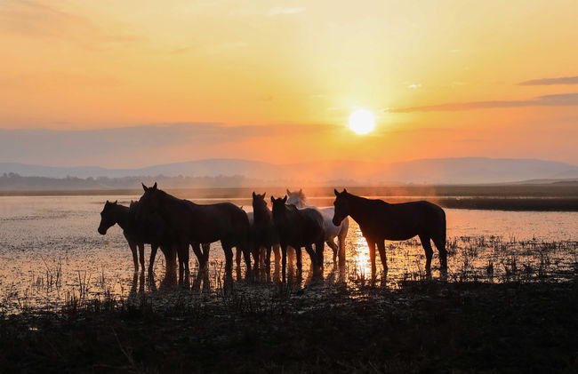 [사진]한국마사회 제공