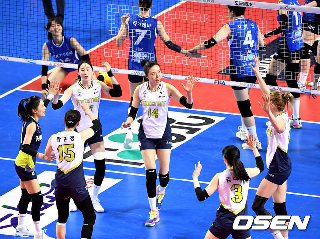 1세트, 현대건설 선수들이 득점에 기뻐하고 있다. / dreamer@osen.co.kr