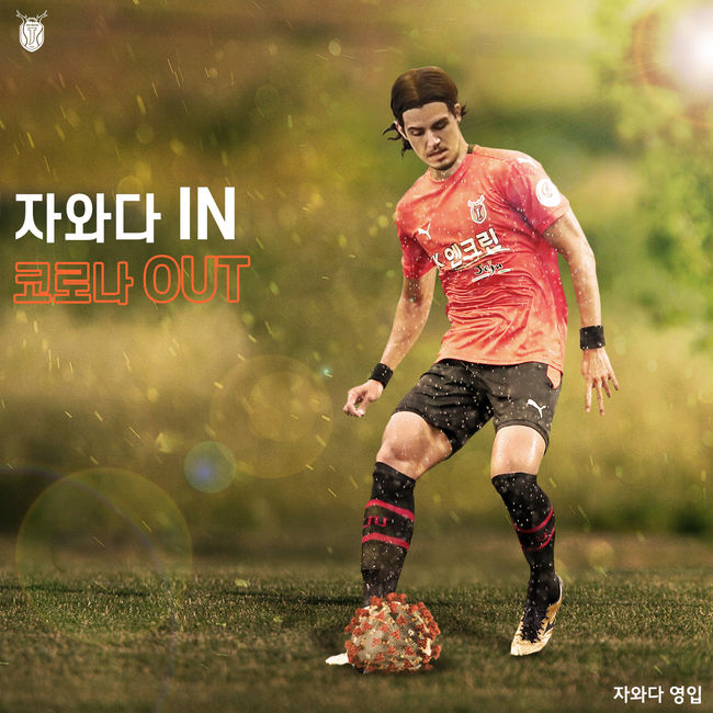 [사진] 제주 제공.