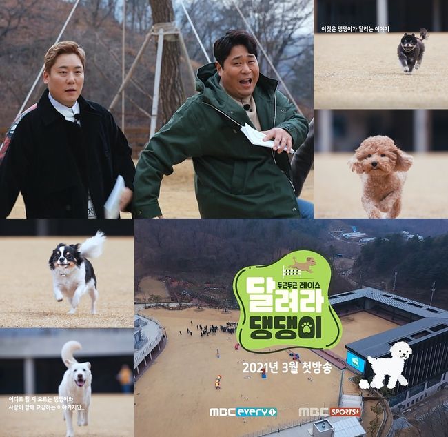 '달려라 댕댕이' 제공