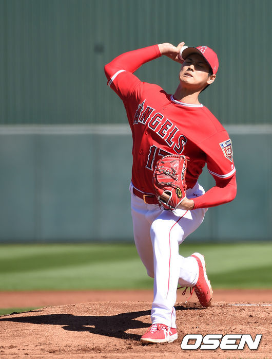 오타니 쇼헤이  /jpnews@osen.co.kr