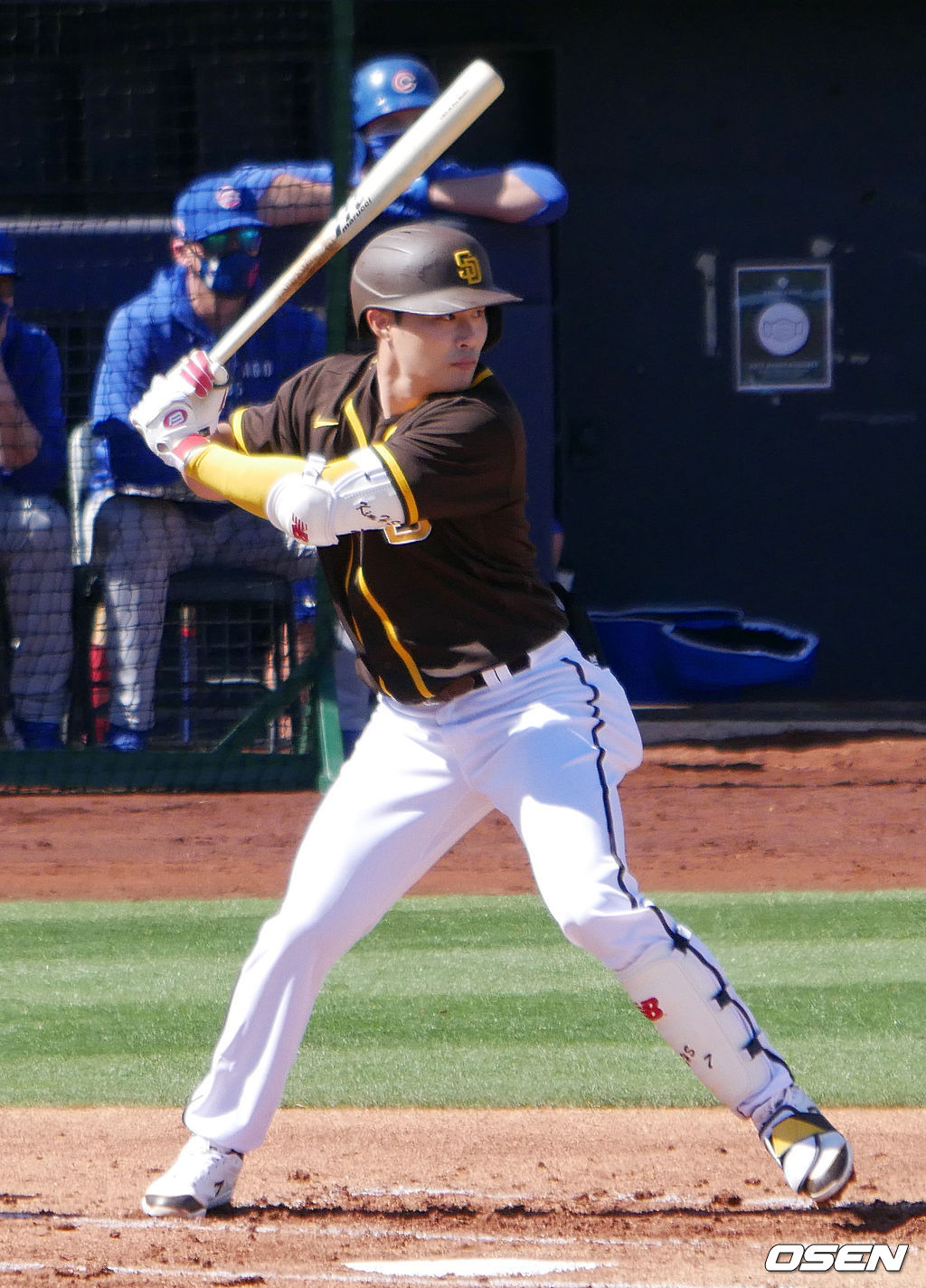 [OSEN=피오리아(미 애리조나주) 이사부 통신원] 샌디에이고 파드리스 김하성.  /lsboo@osen.co.kr