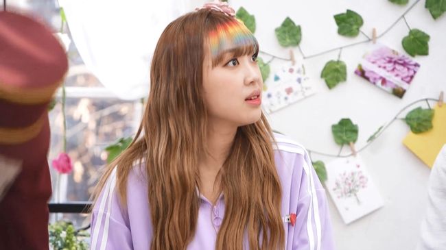 놀면뭐하니